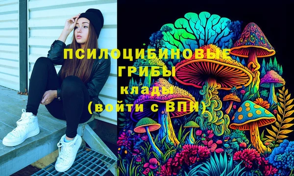 мдпв Медвежьегорск