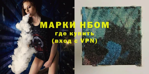 хмурый Белокуриха