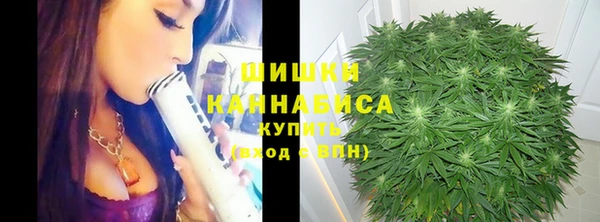 мдпв Медвежьегорск
